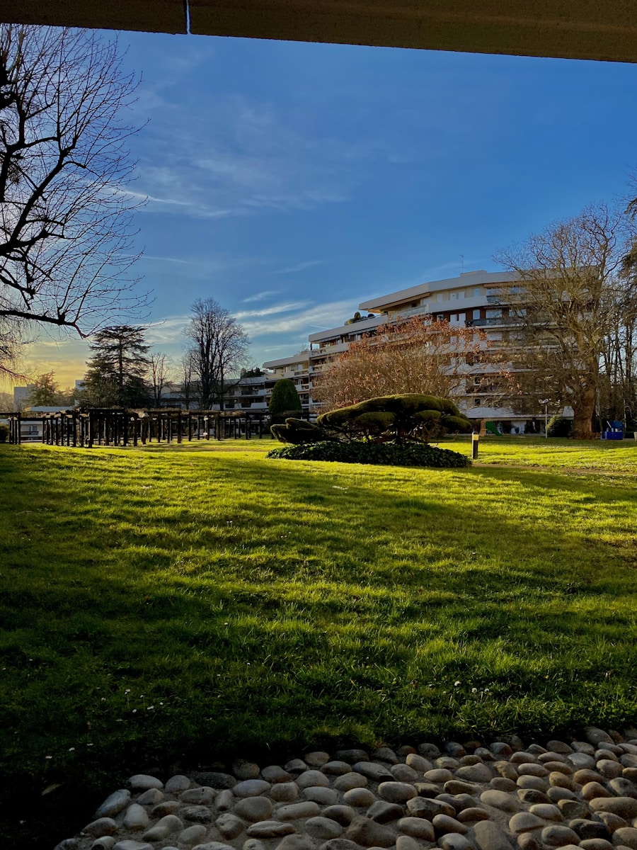 Bringston University